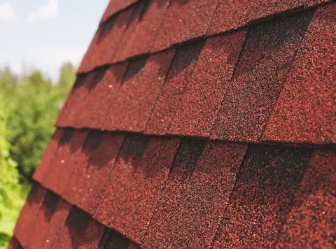 Close view of lifted and worn roofing shingles